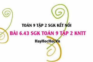 Bài 6.43 SGK Toán 9 tập 2 Kết nối tri thức